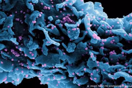 WHO cho biết đang 'giám sát' biến thể mới IHU