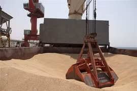 Dù đạt thỏa thuận với Liên hợp quốc, Ukraine vẫn phải đối mặt thách thức xuất khẩu ngũ cốc