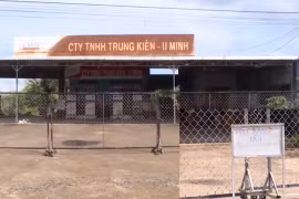 Khan hiếm dầu, Cà Mau kêu gọi không mua dự trữ