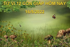 Tử vi 16/5/2022 hôm nay thứ 2 ngày 16/4 âm lịch của 12 con giáp