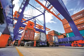 Doanh nghiệp logistics còn gặp nhiều khó khăn trong chuyển đổi số