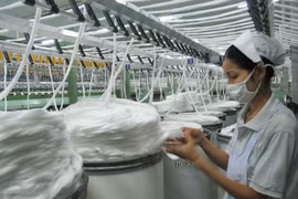 Ngành dệt may hưởng lợi rất lớn từ 15 Hiệp định thương mại tự do