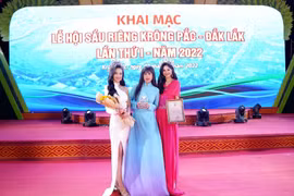 Ba nàng hậu Như Quỳnh, Thanh Hà, Phương Nga trở thành đại diện hình ảnh của Lễ hội Sầu riêng