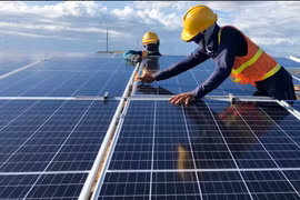 Năng lượng Thiên Niên Kỷ chi 12,7 tỷ đồng trả lãi trái phiếu chỉ trong nửa đầu năm 2022