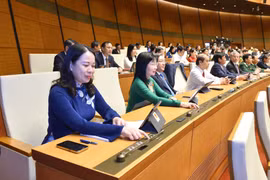 Báo cáo rõ kết quả xử lý tổ chức, cá nhân để xảy ra sai phạm, gây lãng phí, thất thoát