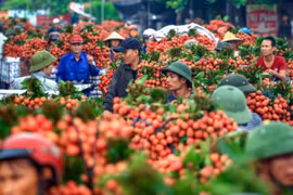 Việt Nam trở thành cường quốc xuất khẩu nông sản