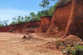 Kon Tum: “Đất tặc” lộng hành trên địa bàn, UBND huyện bị phê bình