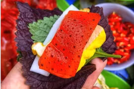Nức lòng mùa sứa đỏ giữa lòng Hà Nội