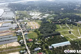 Ba sàn bất động sản bị điểm mặt ở ‘thủ phủ’ phân lô bán nền Cam Lâm