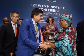 WTO đạt thỏa thuận thương mại 'lịch sử' sau thời gian 'bù giờ'