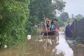 Nước ngập cao, người dân bãi giữa sông Hồng phải dùng đò để đi lại
