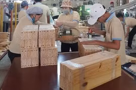 Mỹ điều tra tủ gỗ nhập từ Việt Nam vì sử dụng bộ phận của Trung Quốc