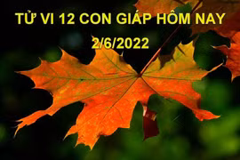 Tử vi 2/6/2022 hôm nay, thứ 5 ngày 4/5 âm lịch của 12 con giáp