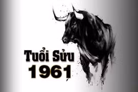 Tử vi tuổi Sửu 2023 theo từng năm sinh