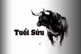 Tử vi tuổi Sửu năm 2023: Chú ý sức khỏe