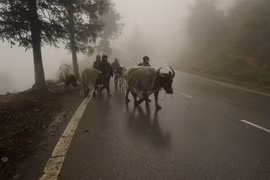 Lào Cai: Lạnh 2-4 độ C, nguy cơ xuất hiện băng giá, sương muối gây hại