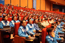 Bồi dưỡng, phát huy thanh niên, xây dựng Đoàn vững mạnh