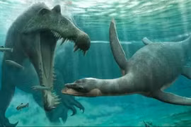 Bằng chứng từ hóa thạch ở Ma-rốc cho thấy sự tồn tại của quái vật hồ Loch Ness