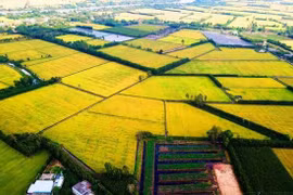 Xây dựng thành phố Cần Thơ thành trung tâm phát triển vùng ĐBSCL