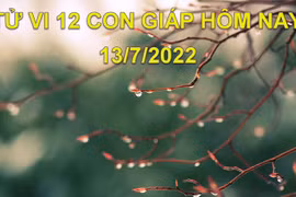 Tử vi 13/7/2022 hôm nay, thứ 4 ngày 15/6 âm lịch của 12 con giáp