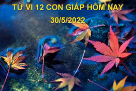 Tử vi 30/5/2022 hôm nay, thứ 2 ngày 30/4 âm lịch của 12 con giáp