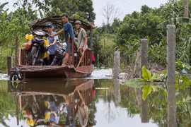 Mực nước sông Hồng tại Hà Nội lên cao, người dân bãi giữa phải di chuyển bằng đò vào đất liền