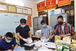 Triệt phá đường dây mua bán ma túy cực 'khủng' từ Lào về Việt Nam