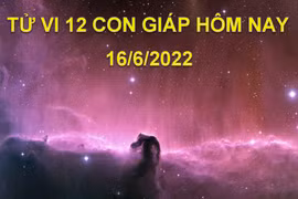 Tử vi 16/6/2022 hôm nay, thứ 5 ngày 18/5 âm lịch của 12 con giáp