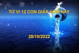 Tử vi hôm nay 28/10/2022, thứ 6 ngày 4/10 âm lịch của 12 con giáp