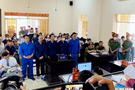 Tòa trả hồ sơ, yêu cầu làm rõ trách nhiệm Chủ tịch phường Tân Phước