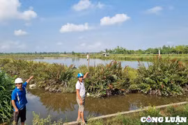 Lập đoàn thanh tra vụ xã cho thuê đất trái thẩm quyền tại huyện Lộc Hà
