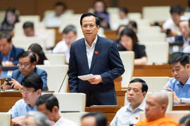 Lao động Việt Nam đã đảm nhận nhiều vị trí, việc làm phức tạp do chuyên gia nước ngoài phụ trách