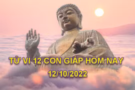 Tử vi hôm nay 12/10/2022, thứ 4 ngày 17/9 âm lịch của 12 con giáp