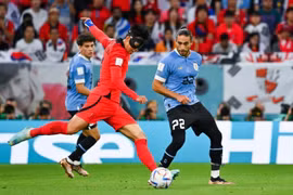 Nhận định Hàn Quốc vs Ghana, 20h ngày 28/11 tại bảng H World Cup 2022