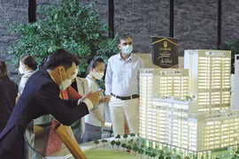 Chính phủ yêu cầu làm rõ việc tiếp cận đất đai của tổ chức kinh tế có vốn đầu tư nước ngoài