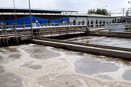 Tăng cường phòng ngừa, giám sát, kiểm soát các cơ sở có nguy cơ gây ô nhiễm môi trường