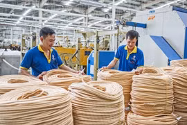 Siam Brothers (SBV) chỉ sản xuất dây thừng, doanh thu đều đặn 500 tỷ, 6 năm liền trả cổ tức tiền mặt