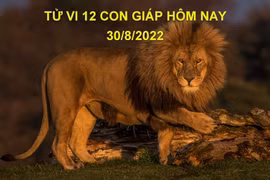Tử vi hôm nay 30/8/2022, thứ 3 ngày 4/8 âm lịch của 12 con giáp