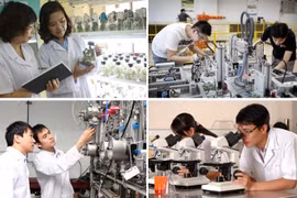Nâng cao chất lượng đào tạo sau đại học tiệm cận với chuẩn mực quốc tế