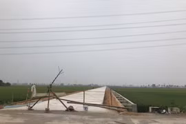 Dấu hiệu thi công kém chất lượng tại dự án đường giao thông nông thôn xã Cấn Hữu
