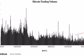 Giá Bitcoin hôm nay 12/5: Thị trường tiếp tục giảm sâu