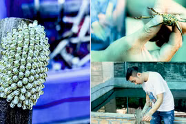 Nuôi côn trùng đặc biệt, 9x Hà Nội thu nửa tỉ đồng mỗi năm