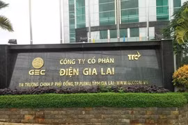 Điện Gia Lai (GEG) kinh doanh tụt lùi, nợ tăng gấp đôi, bán 30,3 triệu cổ phiếu để lấy tiền đầu tư