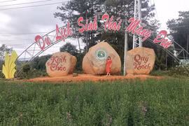Kon Tum: Công ty cổ phần Sài Gòn Măng Đen bị thu hồi đất vì để không