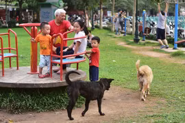 Hà Nội phấn đấu quản lý được trên 90% số hộ nuôi chó, mèo