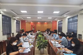 Công bố Quyết định thành lập Tổ công tác phát triển kinh tế - xã hội vùng đồng bào dân tộc thiểu số