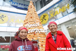Hà Nội: Độc đáo cây thông noel được làm từ làm từ 8.000 bắp ngô