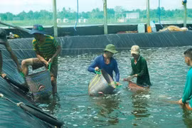 Thủy sản là mũi nhọn phát triển kinh tế