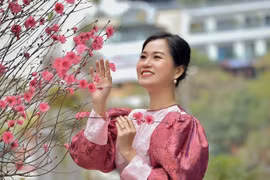 Dàn sao Việt chào đón năm mới 2022