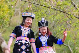 Xuân về trên cổng trời “Sa Pa” xứ Nghệ